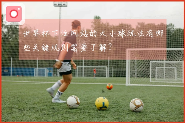 世界杯下注网站的大小球玩法有哪些关键规则需要了解？