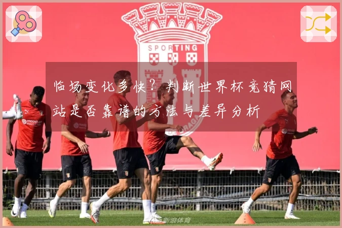 临场变化多快?判断世界杯竞猜网站是否靠谱的方法与差异分析