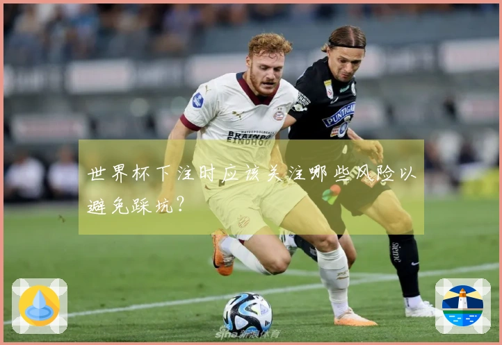 世界杯下注时应该关注哪些风险以避免踩坑?
